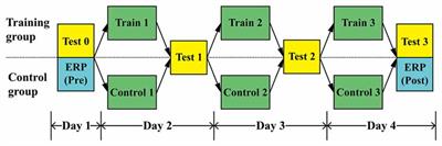 Influence of Audiovisual Training on Horizontal Sound Localization and Its Related ERP Response